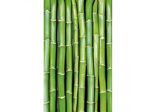 Fliis fototapeet Bamboo