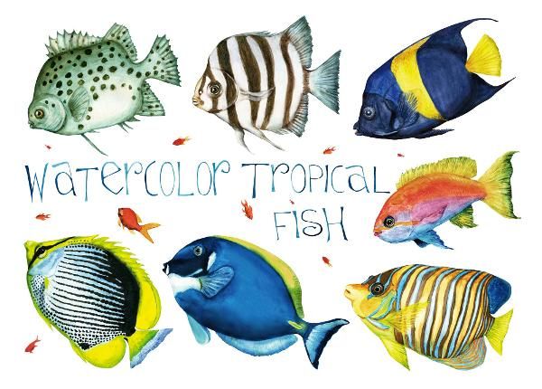 Fliis fototapeet Beige Tropical Fishes