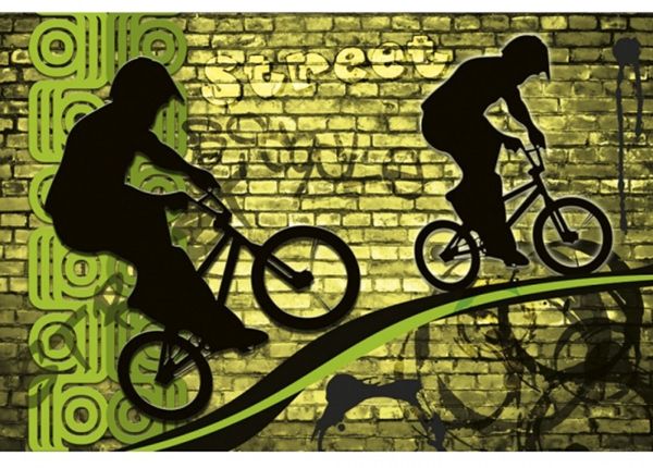 Fliis fototapeet Bicycle green