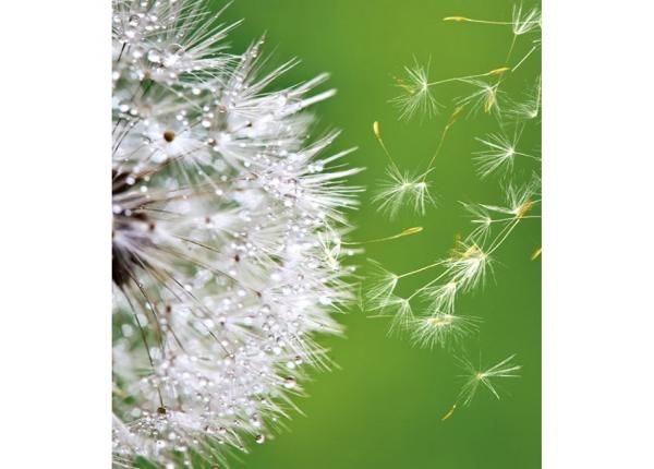 Fliis fototapeet Blowing dandelion