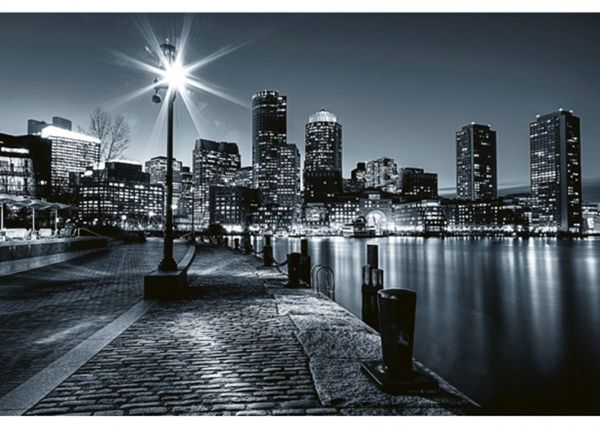 Fliis fototapeet Boston