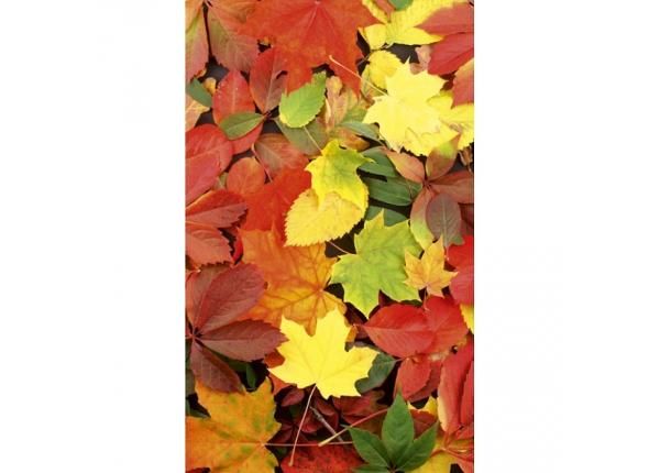Fliis fototapeet Colourful leaves