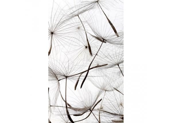 Fliis fototapeet Dandelion seeds