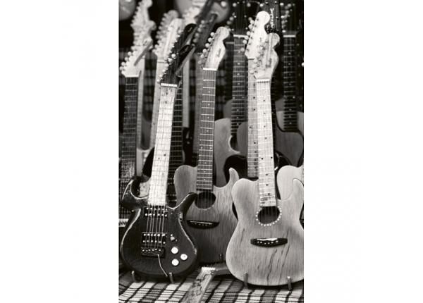 Fliis fototapeet Guitars collection