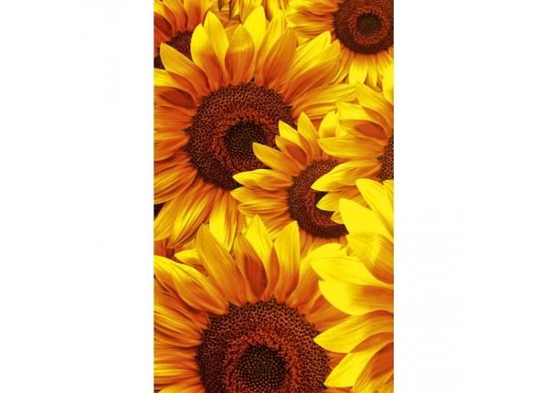 Fliis fototapeet Helianthus