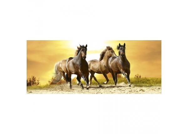 Fliis fototapeet Horses in sunset