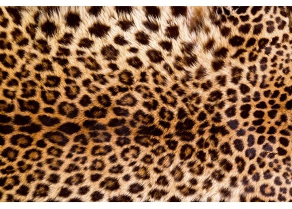 Fliis fototapeet Leopard skin