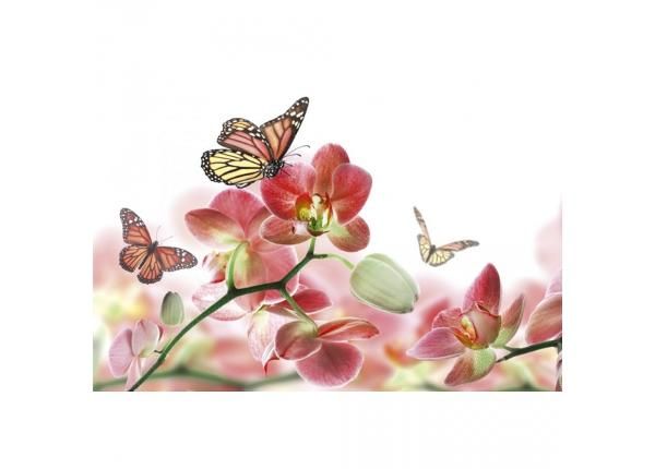 Fliis fototapeet Orchids and butterfly 375x250 cm