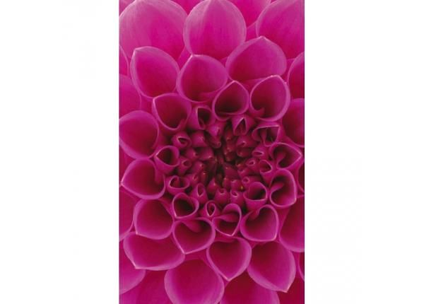 Fliis fototapeet Pink dahlia