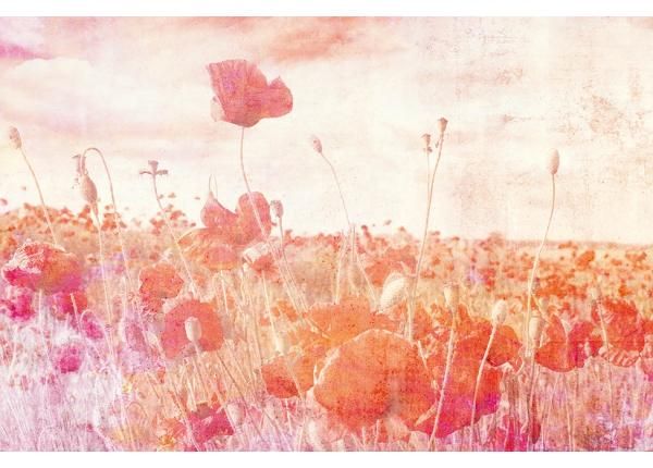 Fliis fototapeet Poppies Abstract