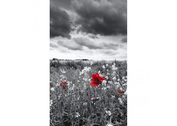 Fliis fototapeet Poppies black