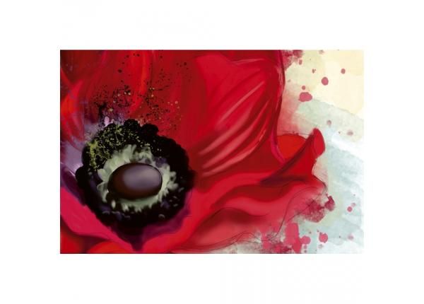 Fliis fototapeet Poppy 375x250 cm