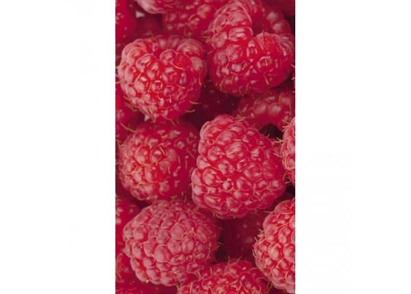 Fliis fototapeet Raspberry