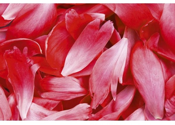 Fliis fototapeet Red petals