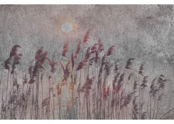 Fliis fototapeet Reed Abstract