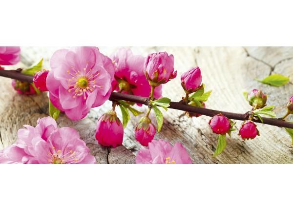 Fliis fototapeet Sakura 375x150 cm