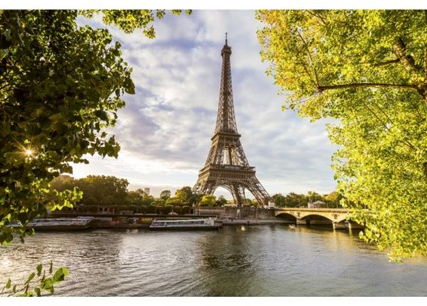 Fliis fototapeet Seine in paris
