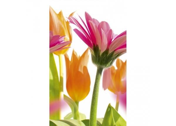 Fliis fototapeet Spring flowers