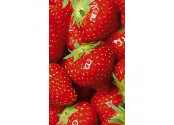 Fliis fototapeet Strawberry 150x250 cm