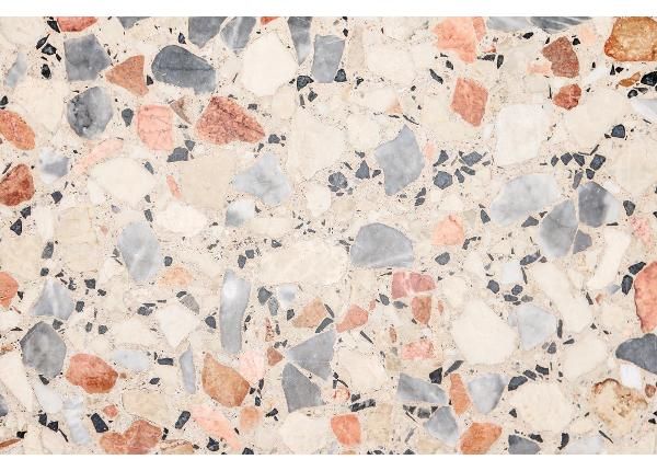 Fliis fototapeet Terrazzo Floor Texture 