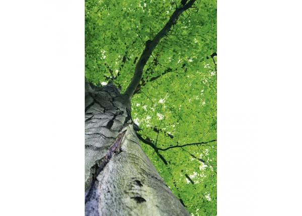 Fliis fototapeet Treetop