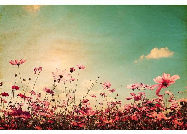 Fliis fototapeet Vintage Landscape Nature Background