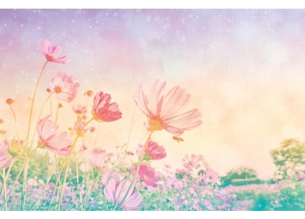 Fliis fototapeet Vintage Pastel Flowers