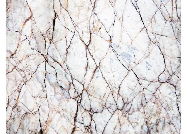 Fliis fototapeet White Marble Texture