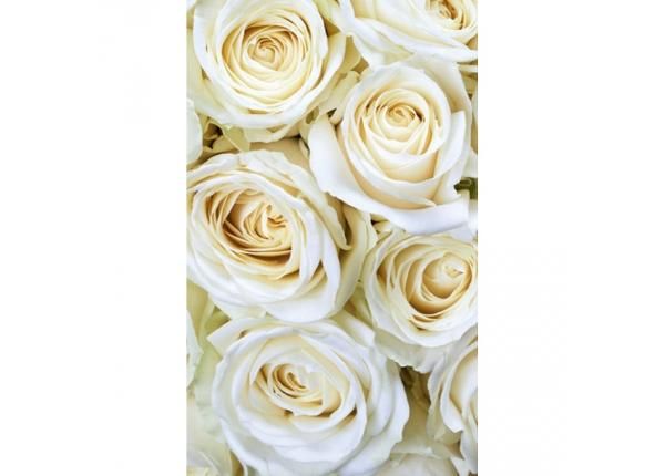 Fliis fototapeet White roses