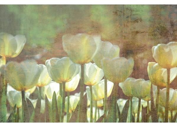 Fliis fototapeet White Tulips Abstract