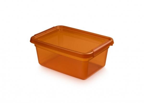 Hoiukast BaseStore 12,5 L, 28x38xh16 cm oranž