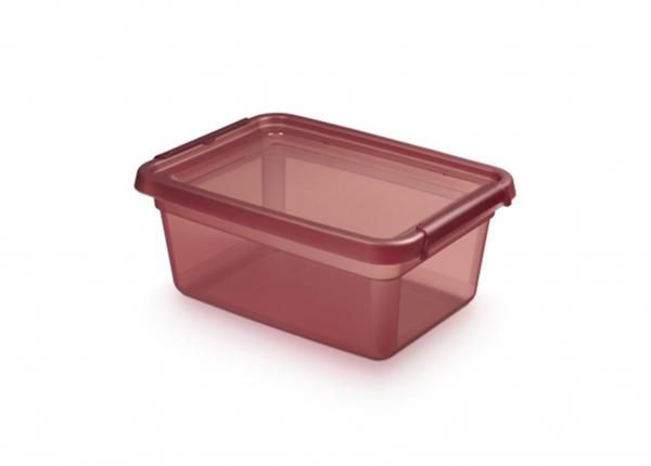 Hoiukast BaseStore 12,5 L, 28x38xh16 cm roosa