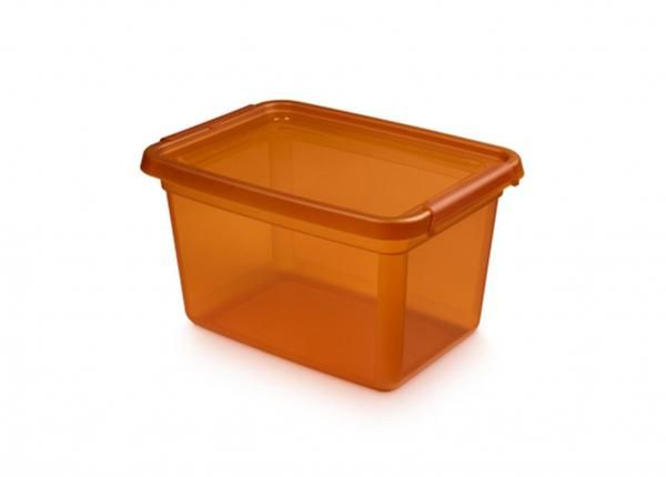 Hoiukast BaseStore 15 L, 28x38xh22,5 cm oranž