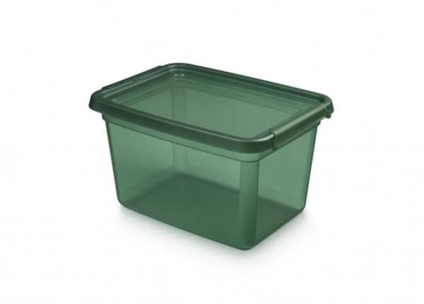 Hoiukast BaseStore 15 L, 28x38xh22,5 cm roheline