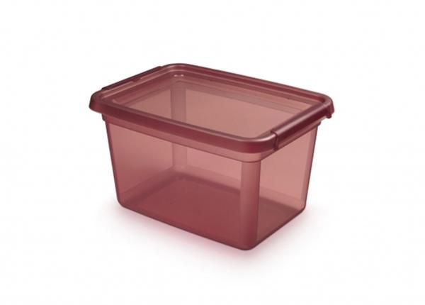 Hoiukast BaseStore 15 L, 28x38xh22,5 cm roosa