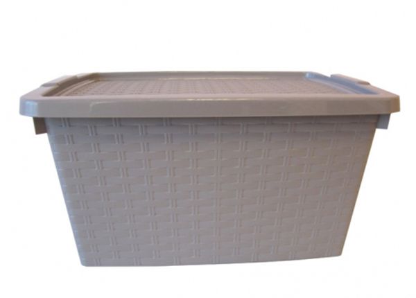 Hoiukast Intrigo 40 L