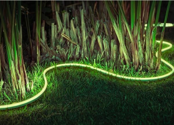 Hue White and Color ambiance õue ribavalgusti 5 m IP67