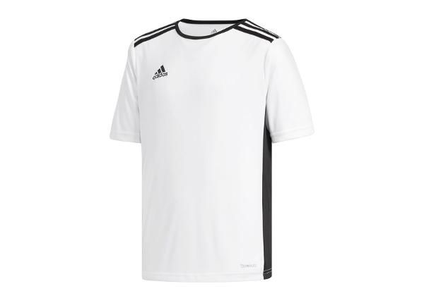 Jalgpallisärk lastele adidas Entrada 18 Jr CF1044 164 cm