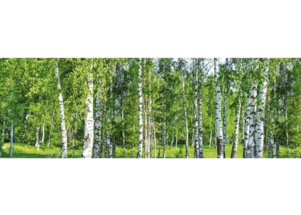 Köögi tagasein Birch Grow