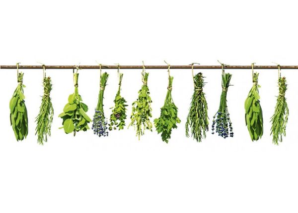 Köögi tagasein Herbs 180x60 cm