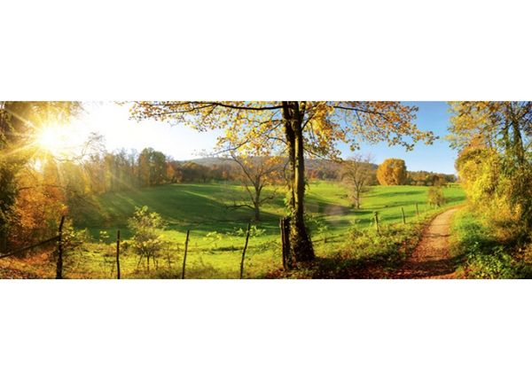 Köögi tagasein Meadow