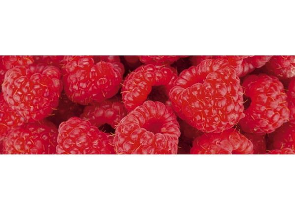 Köögi tagasein Raspberry