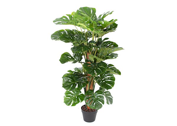 Kunstpuu Monstera 105 cm