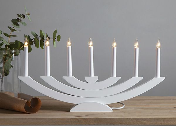 Küünlajalg Navida