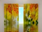 Läbipaistev kardin Golden leaves 240x220 cm