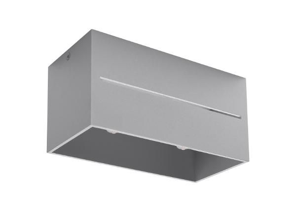 Laelamp Lobo 2, hall