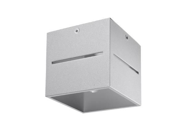 Laelamp Lobo, hall