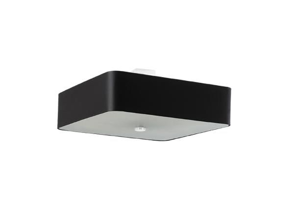 Laelamp Lokko 55, must