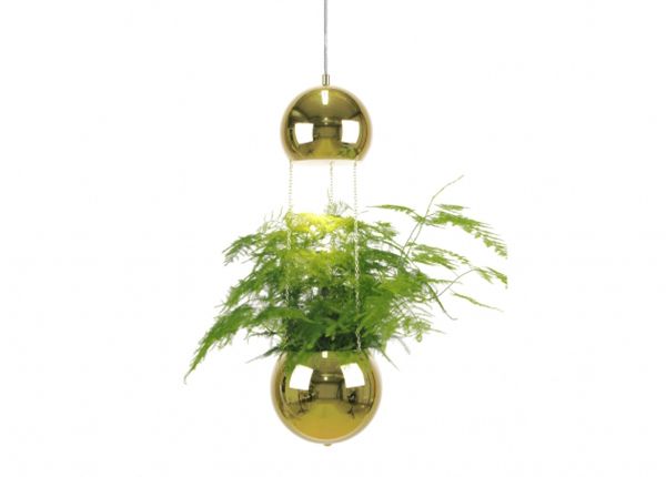 Laelamp Planter