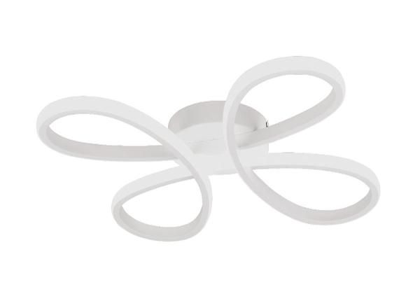 Laevalgusti Fly